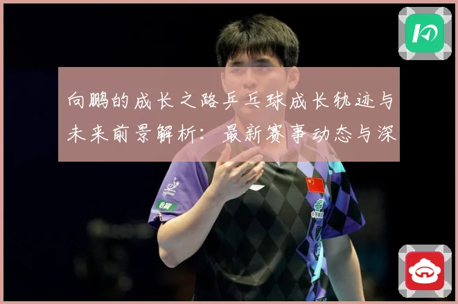 向鹏的成长之路乒乓球成长轨迹与未来前景解析：最新赛事动态与深度分析